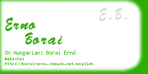 erno borai business card