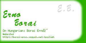 erno borai business card